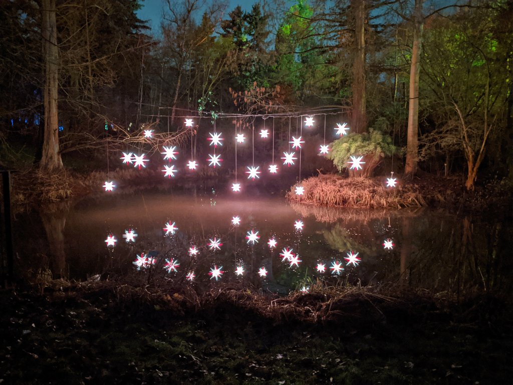 Stars on a pond