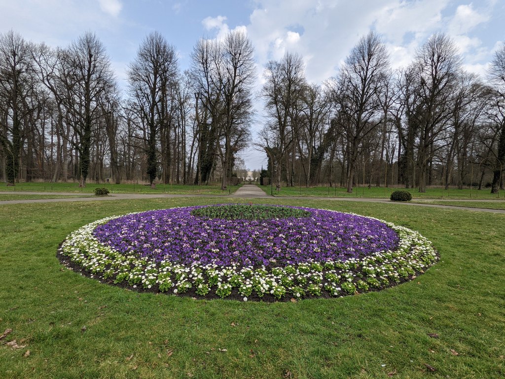 Round flowers in Schlosspark